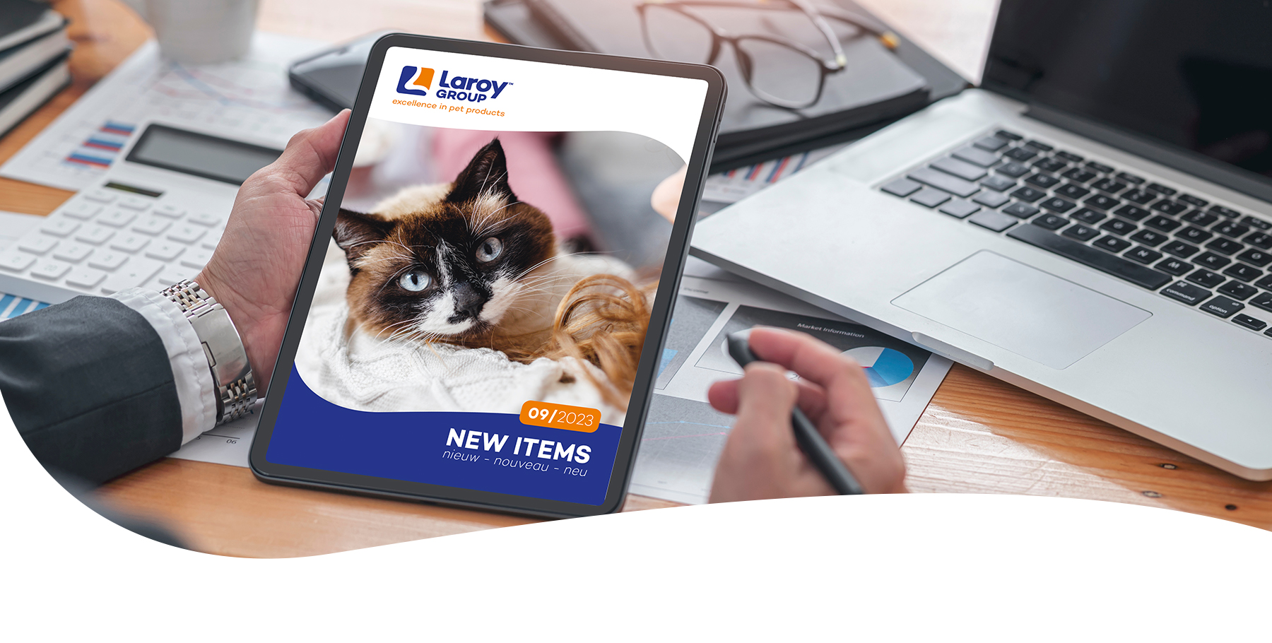 A brand-new look for Laroy Group