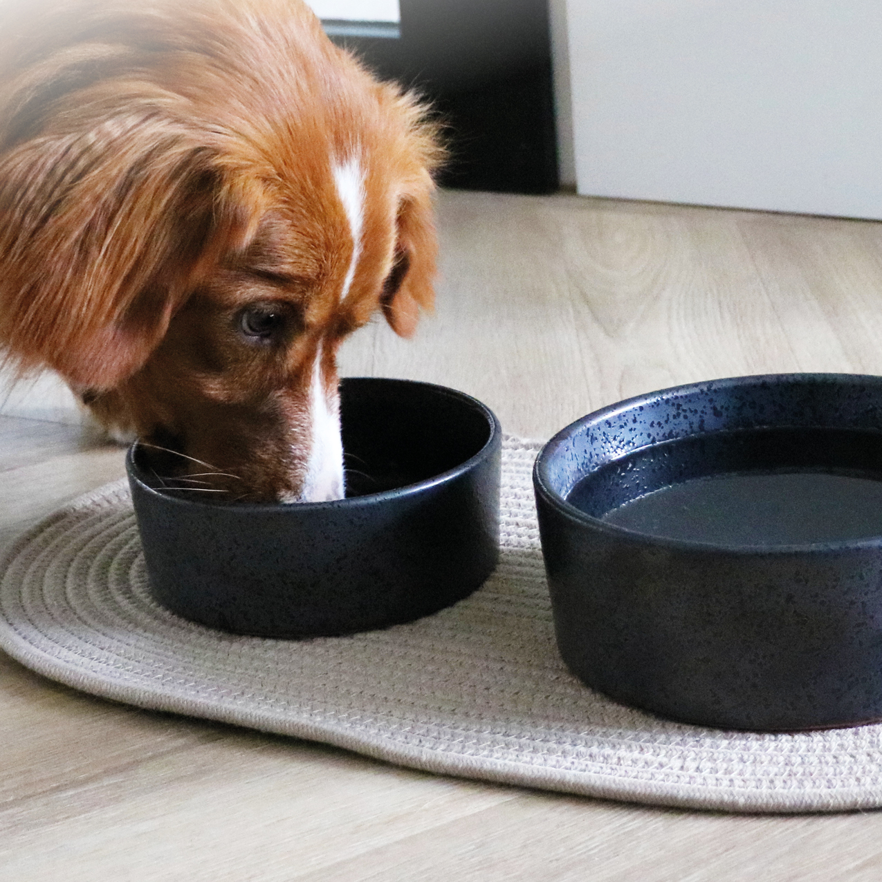 D&D home: Neuheiten in unserem Sortiment