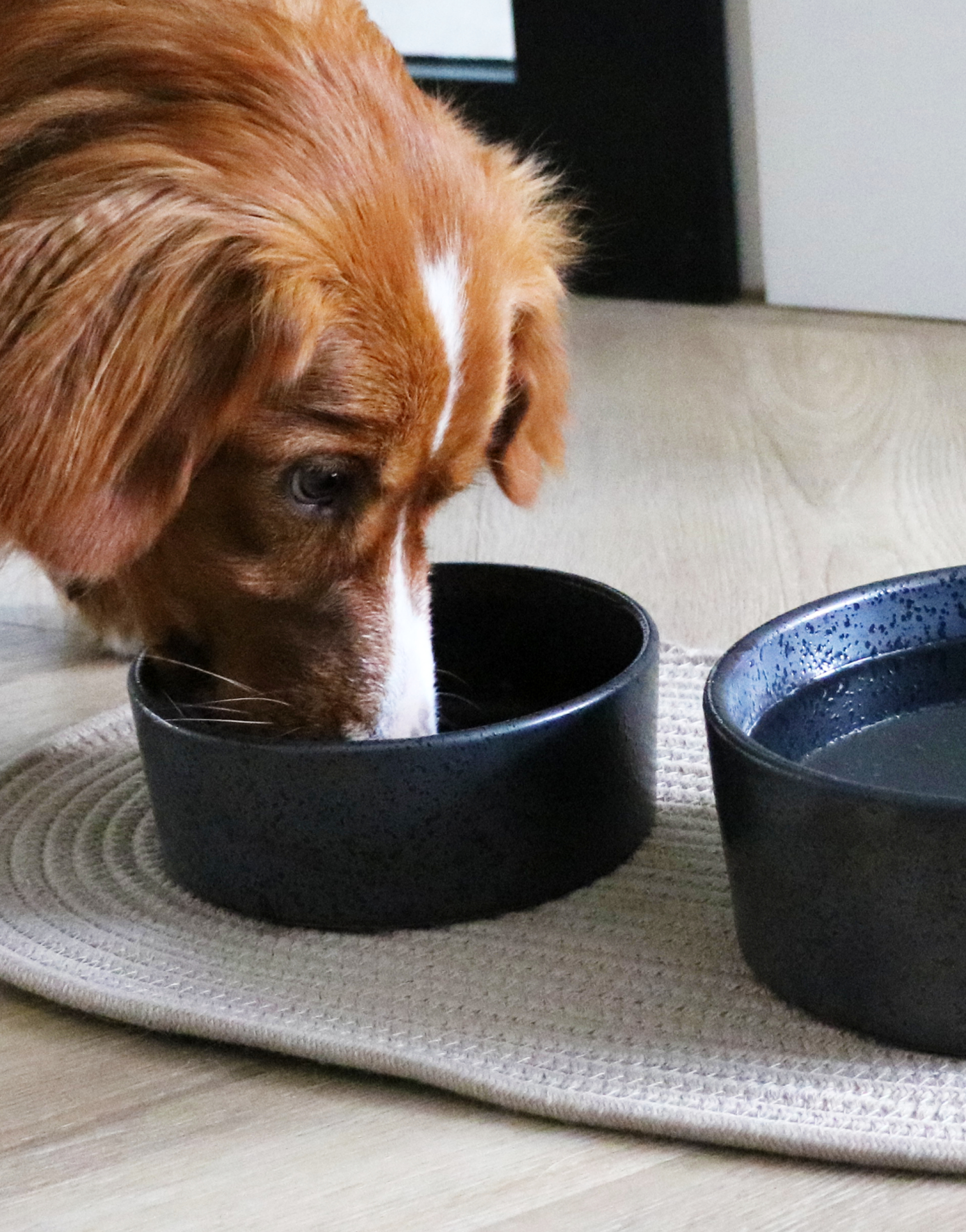 D&D home: Neuheiten in unserem Sortiment