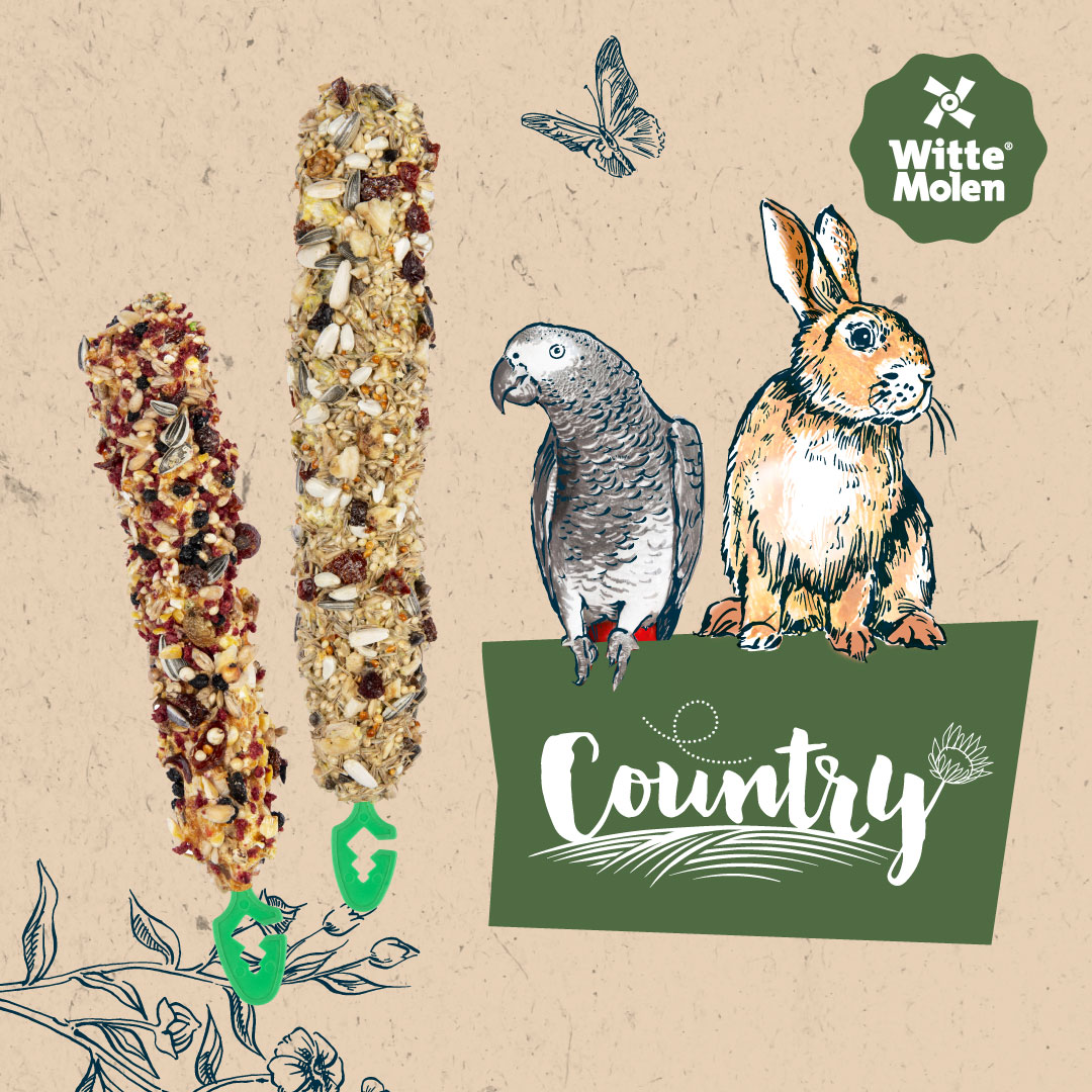 Delicious and healthy snacks for birds and mammals