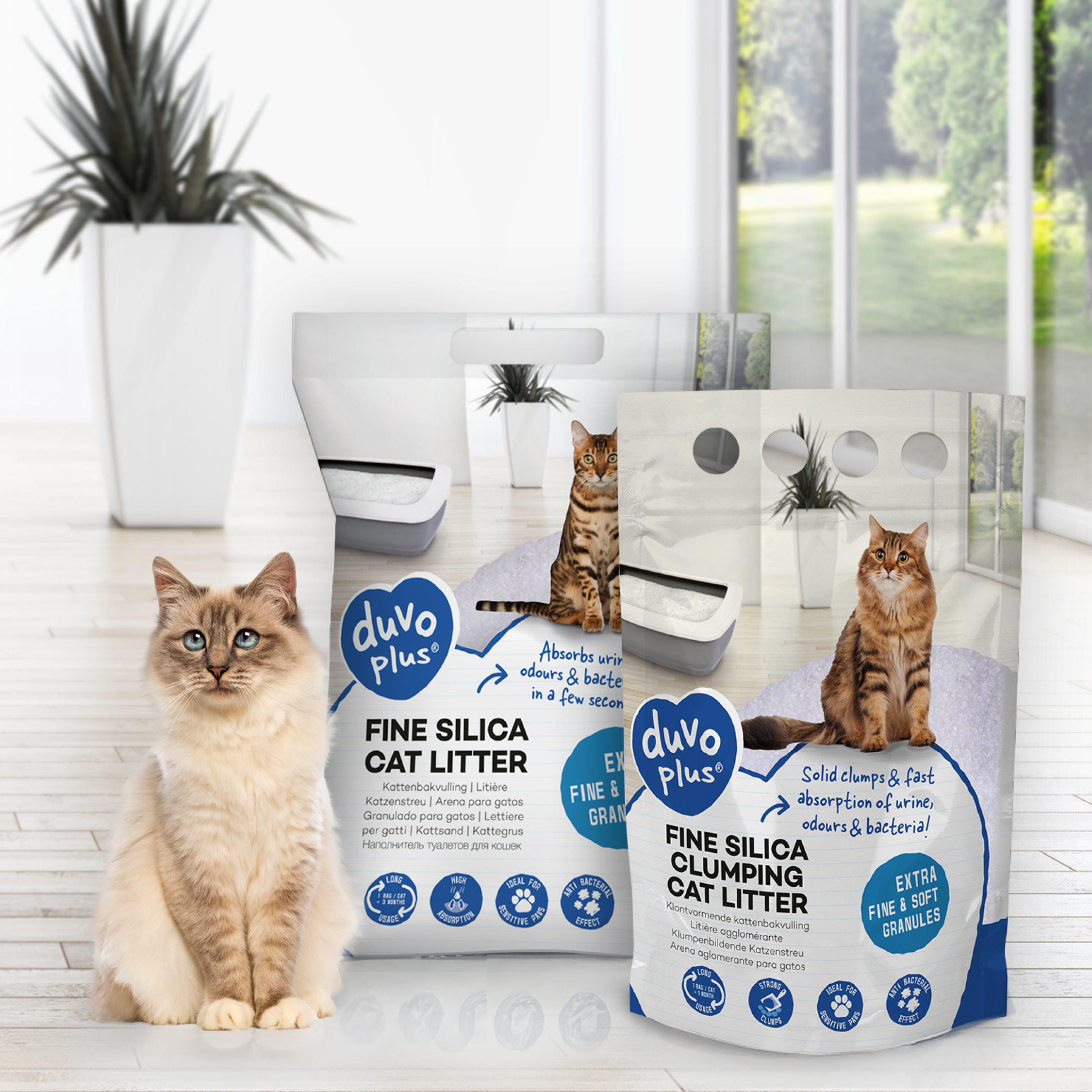 duvoplus silica cat litter: discover all the benefits ! 