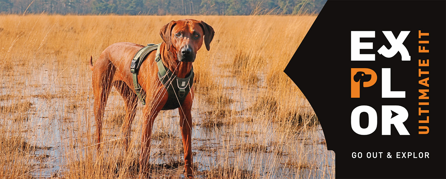 EXPLOR Ultimate Fit POS Materiaal