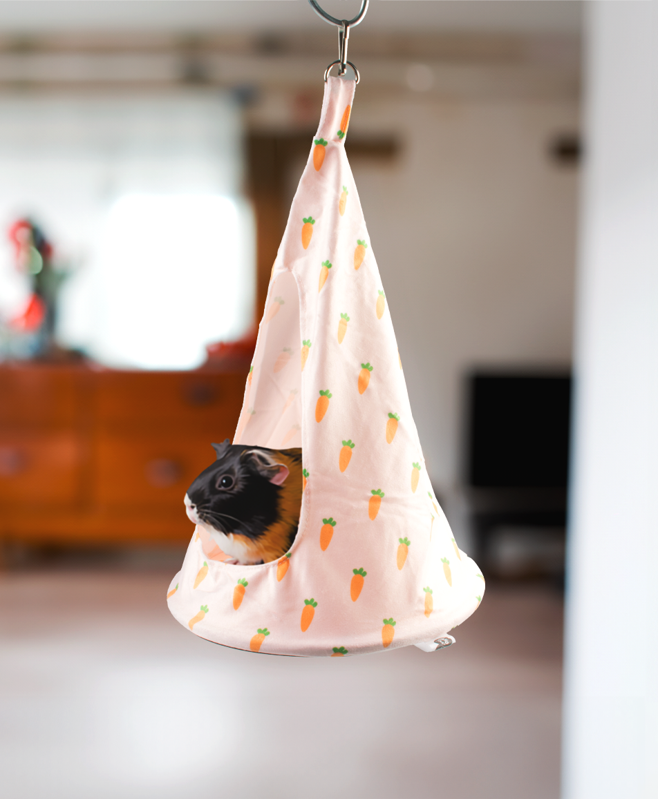 Heerlijke Snacks en Comfortabele Schuilplaatsen voor Knaagdieren