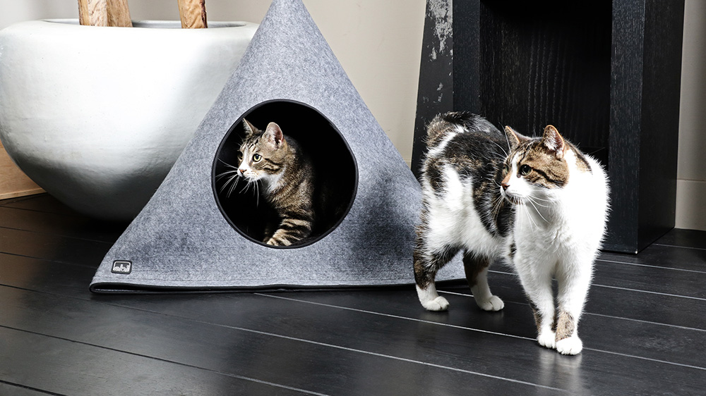 Hellen, Hazel & Duke, Spielzeit!