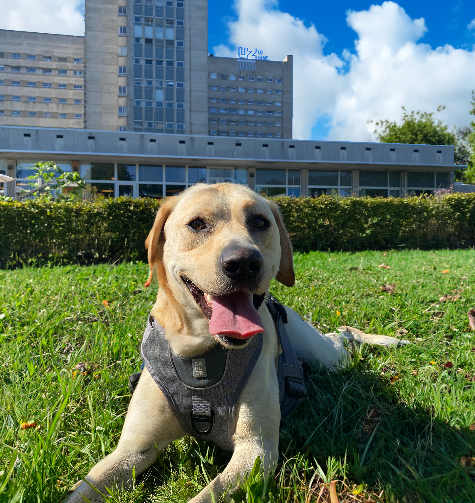 Laroy Group en UZ Gent bundelen hun krachten in een waardevolle samenwerking