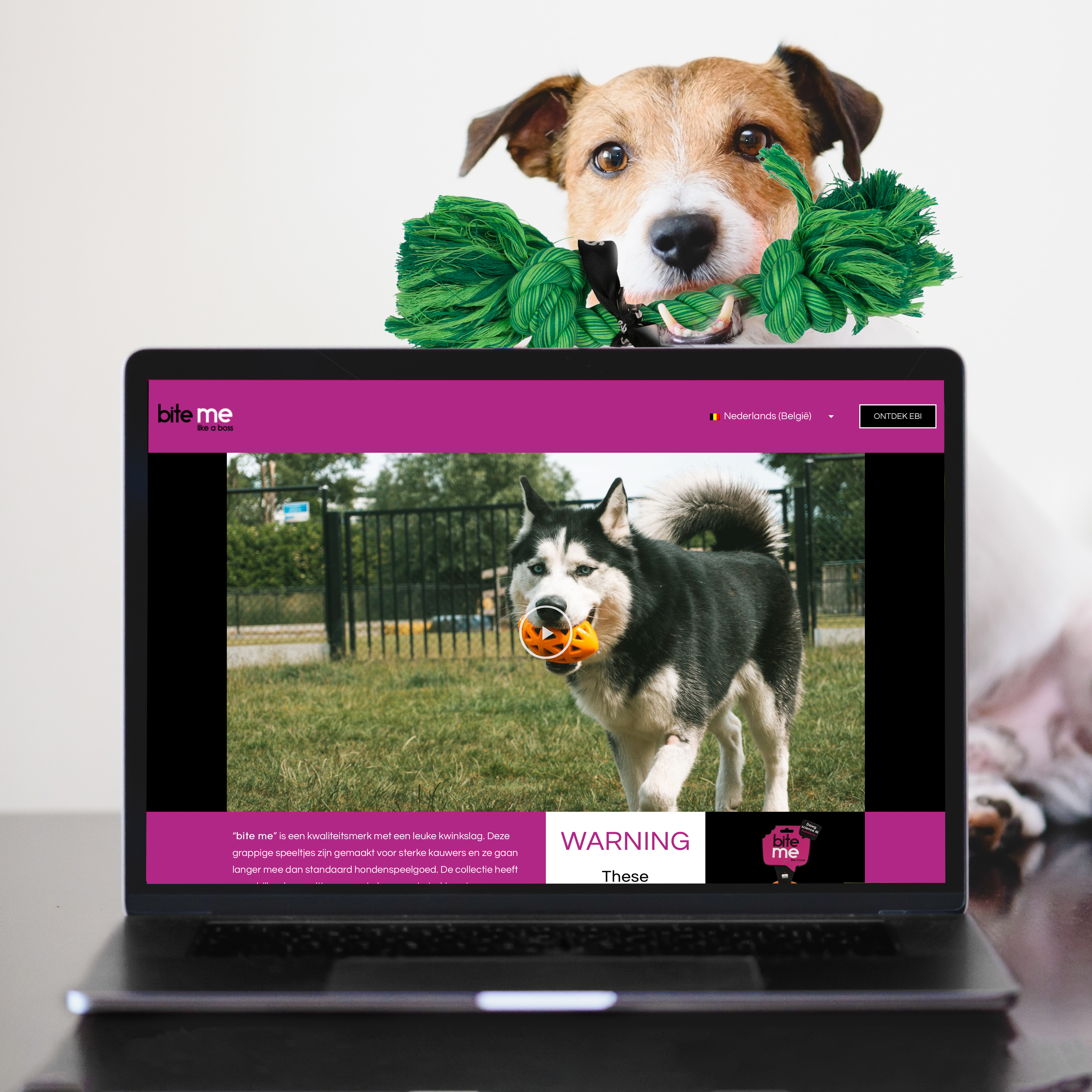 Maximise your reach with brand experience