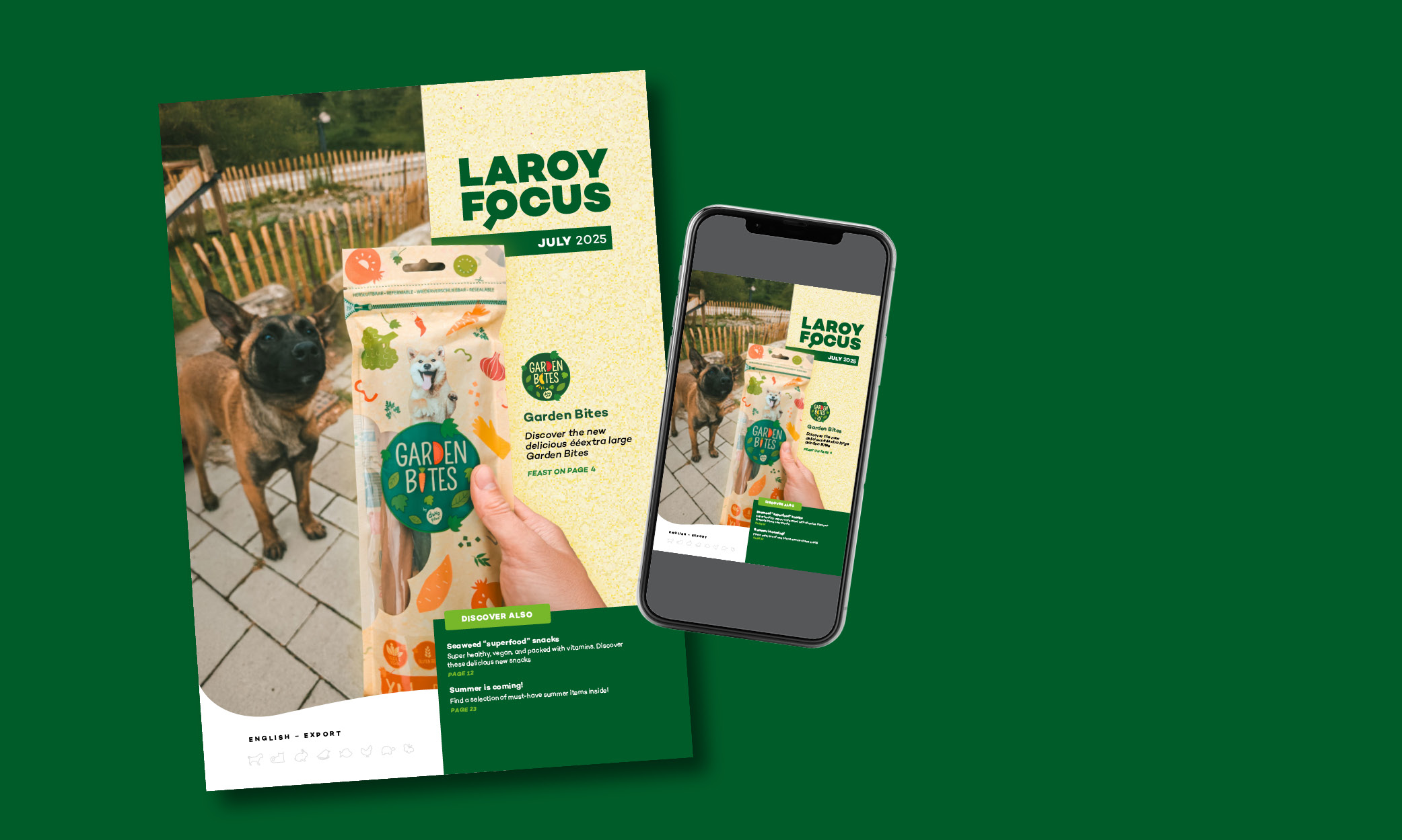 Need a clear vision for your business? Discover Laroy FOCUS!