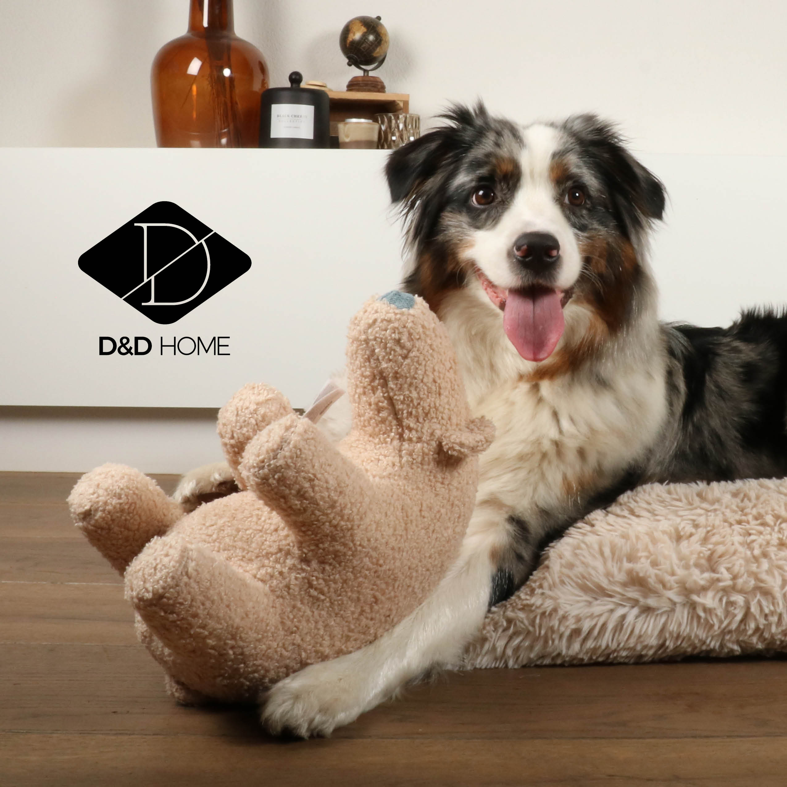 Nouveaux peluches de D&D Home