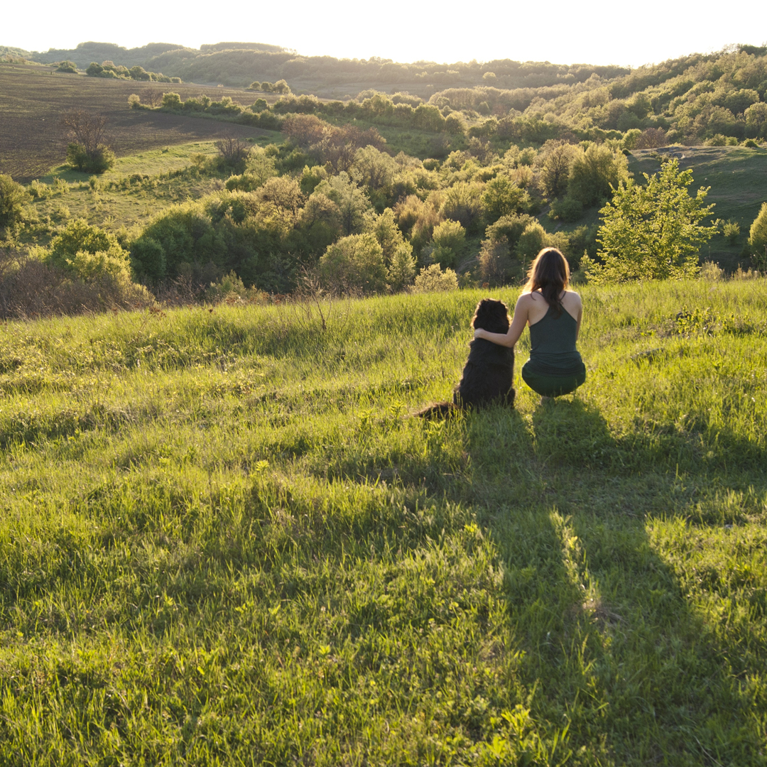 Survey about sustainable business, your feedback is valuable !