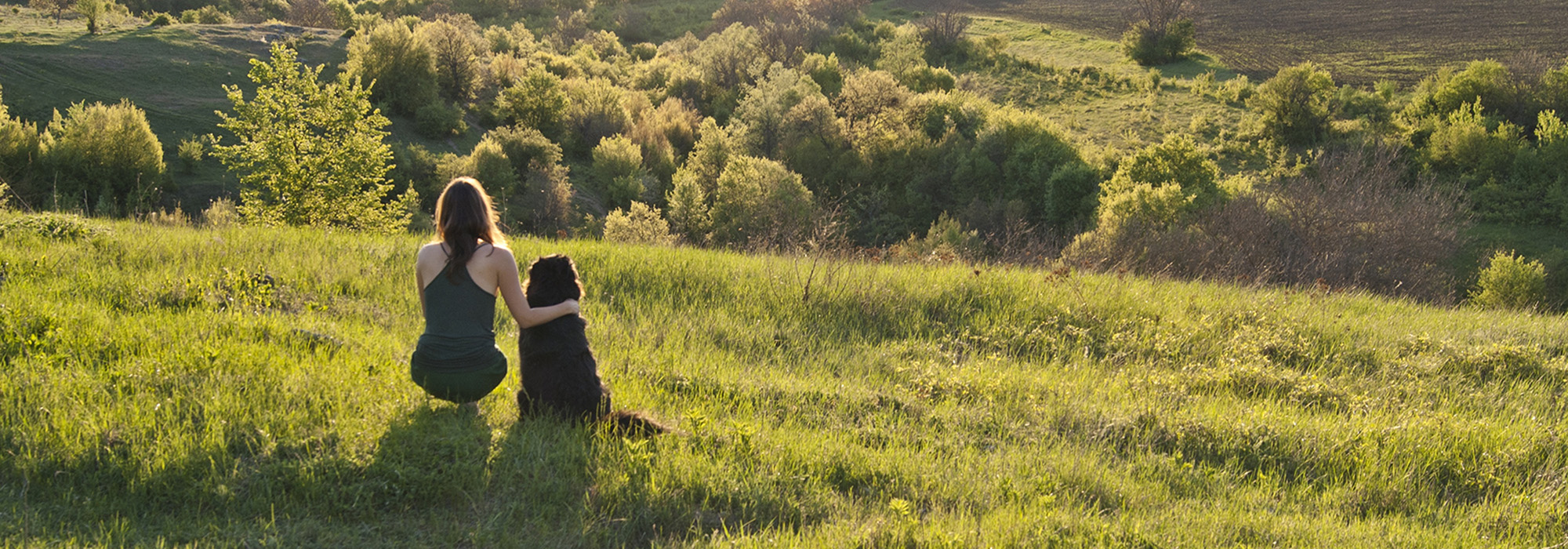 Hund und Frau auf einer Wiese