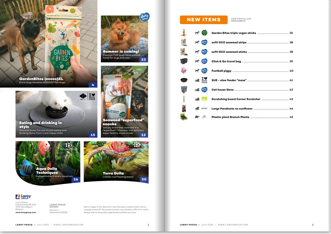 Naar Laroy FOCUS document