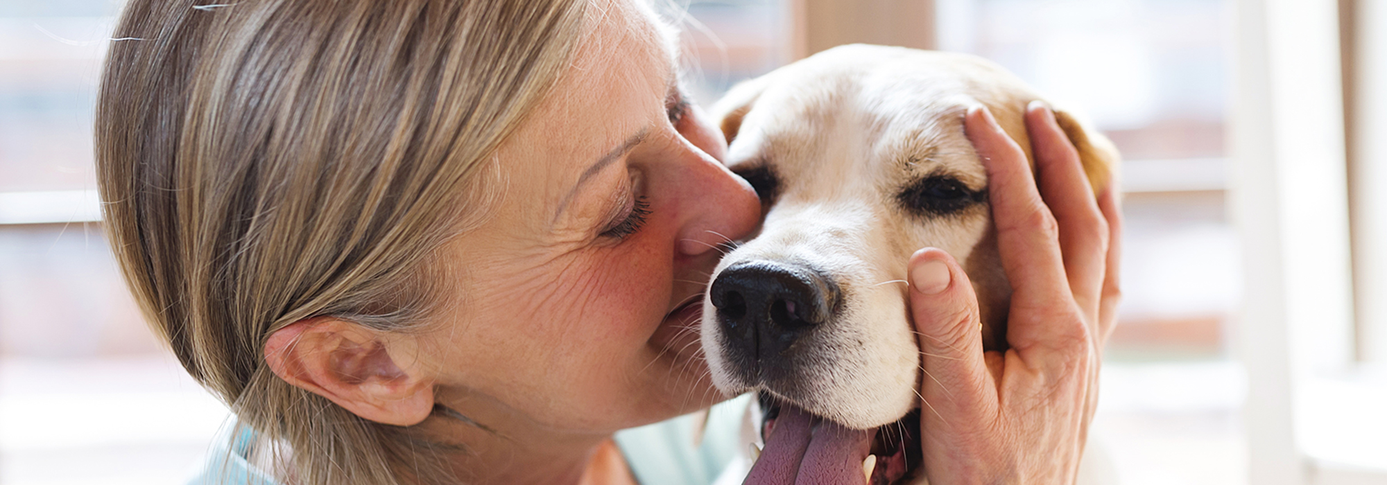 Eine ältere Frau umarmt ihren alten Golden Retriever