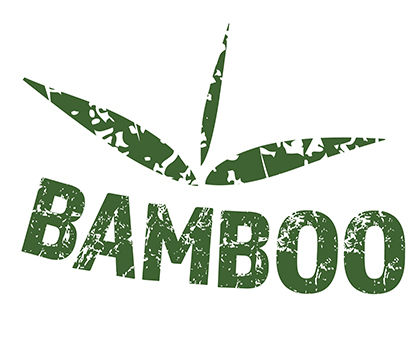 Bamboo